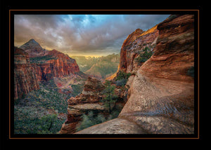 Canyon Light Zion Greeting Card