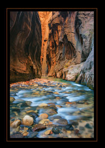 Tranquil Zion Greeting Card