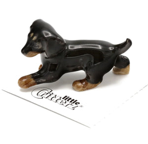 Caboose Dachshund