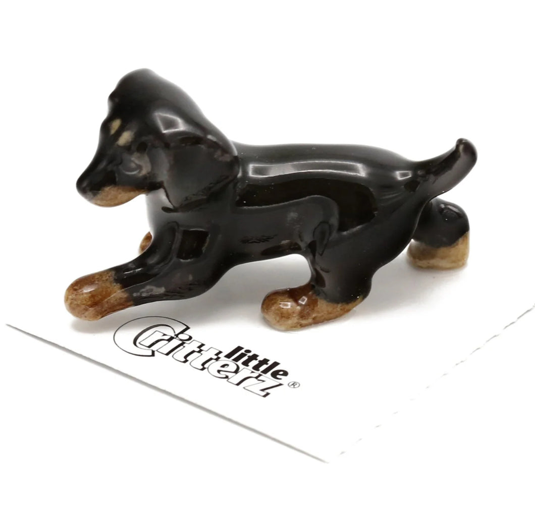 Caboose Dachshund