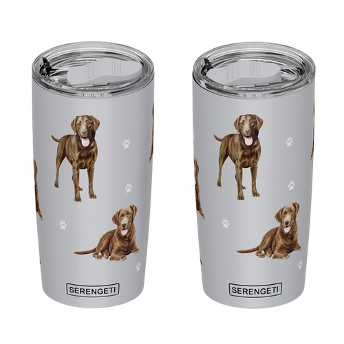Lab, chocolate Tumbler