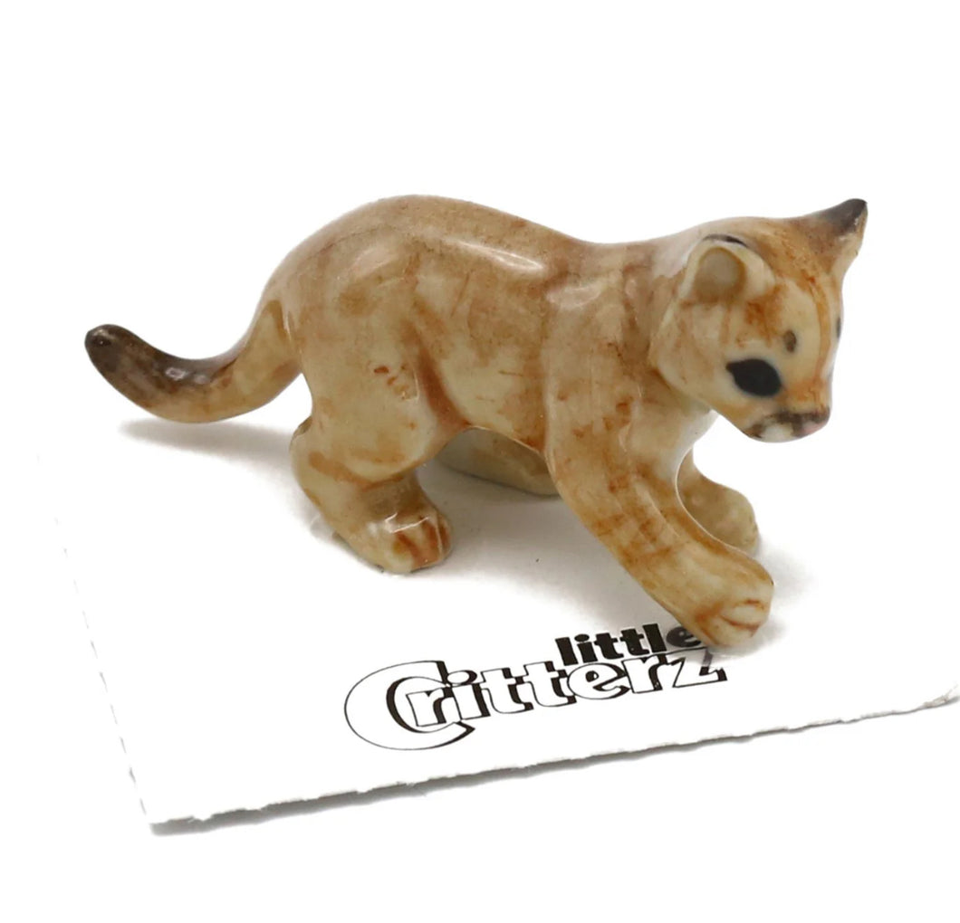 Renegade Cougar Cub Mountain Lion