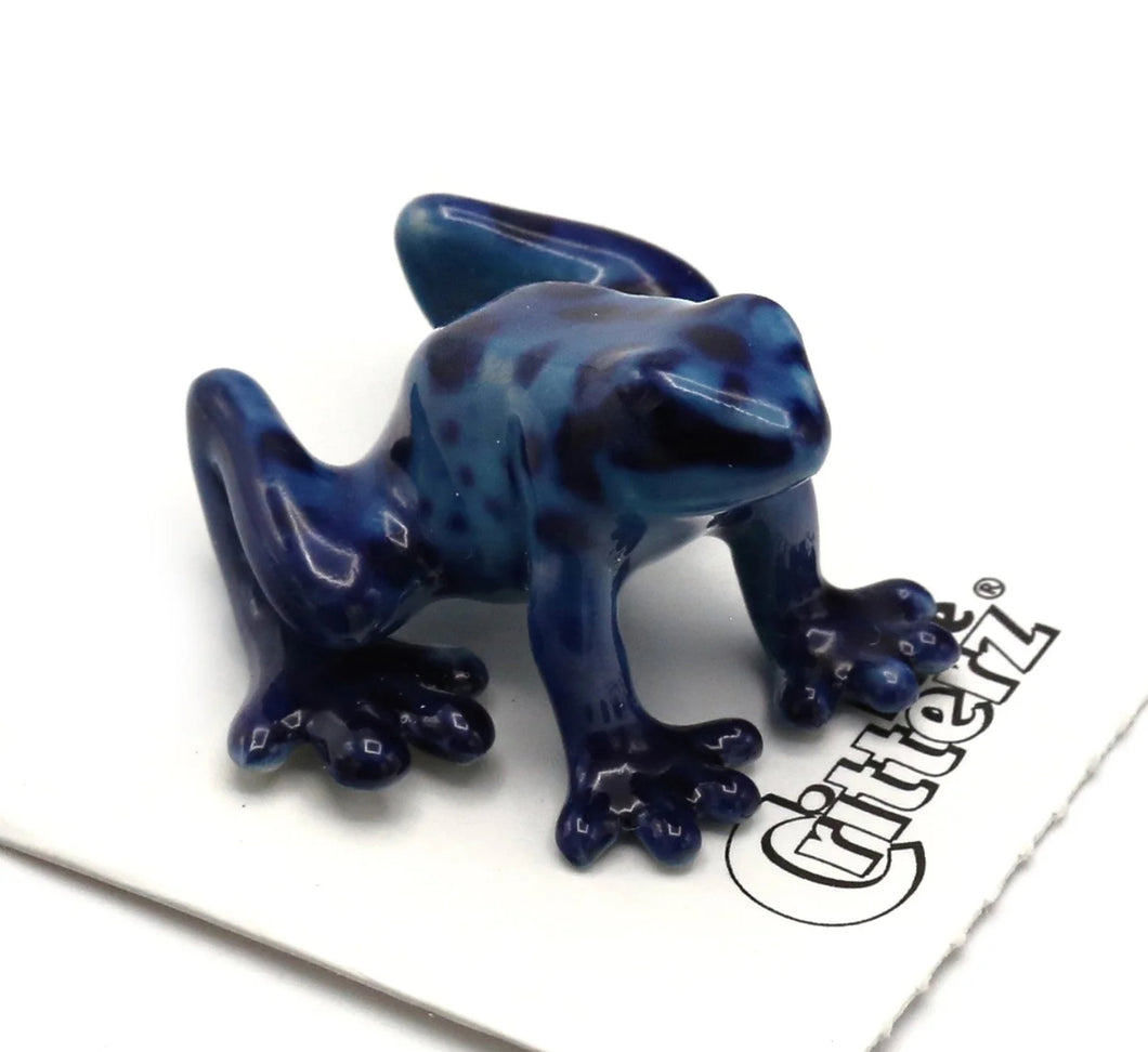 Sapphire Blue Dart Frog