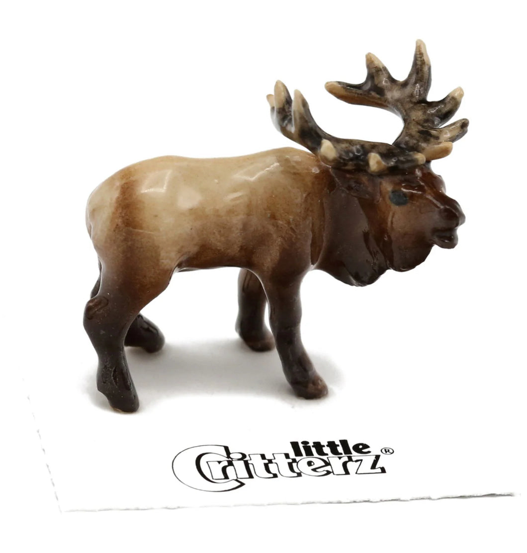 Spirit Animal Elk