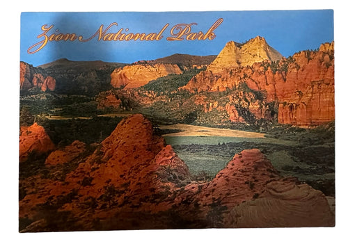 Zion Pine Valley Park Postcard