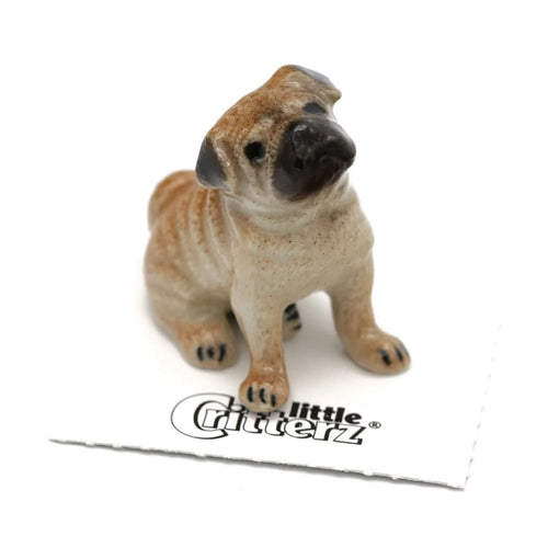 Button Pug