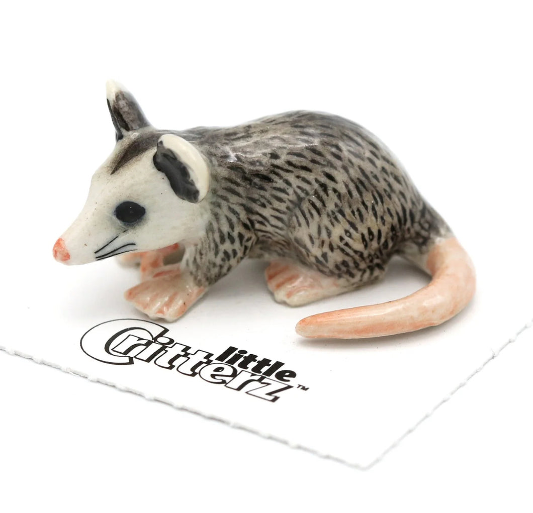 Thumbs Opossum