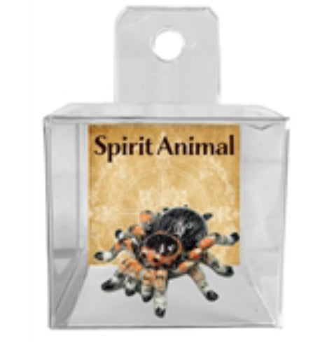 Spirit Animal Tarantula Spider