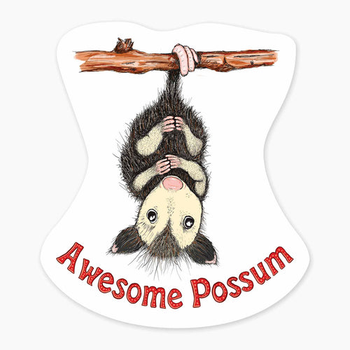 Possum Sticker