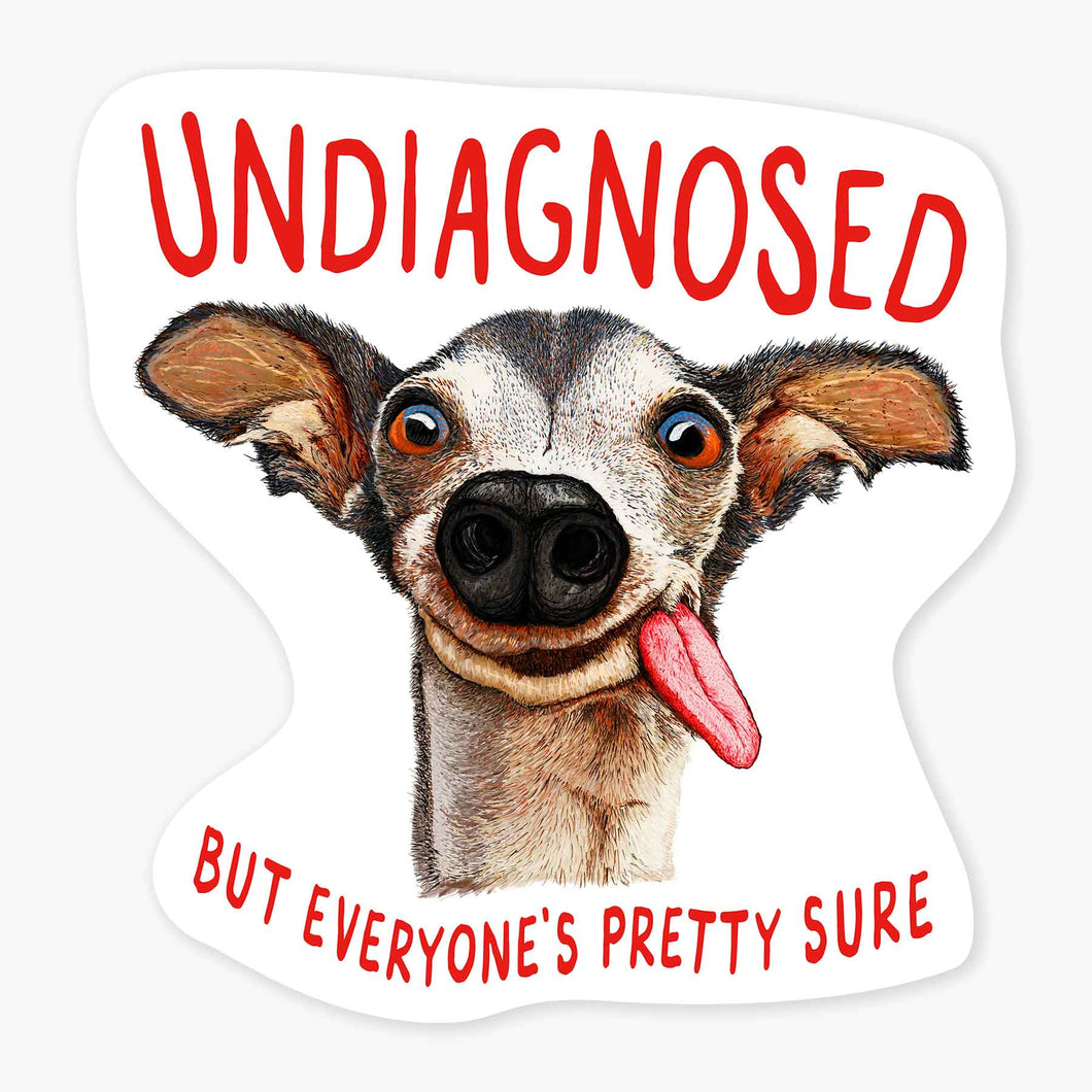 Undiagnosed Sticker