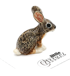Bounder Jackrabbit