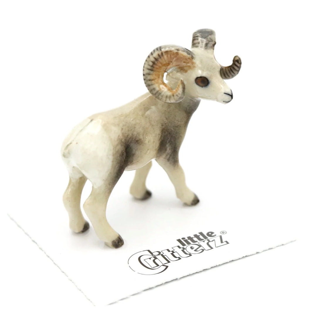 Clash Bighorn Sheep