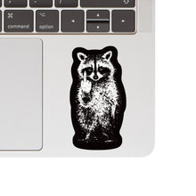 FU Raccoon Vinyl Sticker