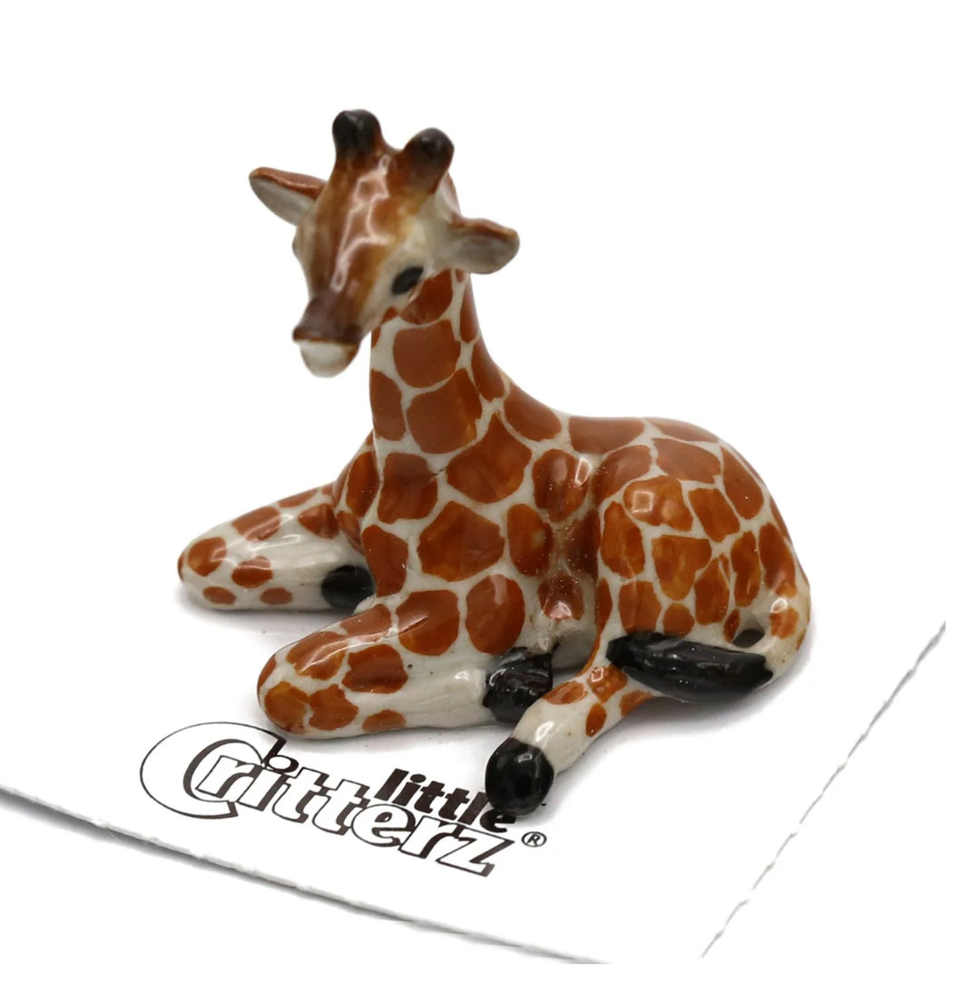 Aerial Giraffe Calf