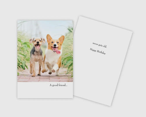 A Good Friend Birthday Card