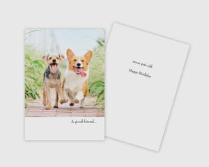 A Good Friend Birthday Card