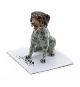 Bradley German Pointer