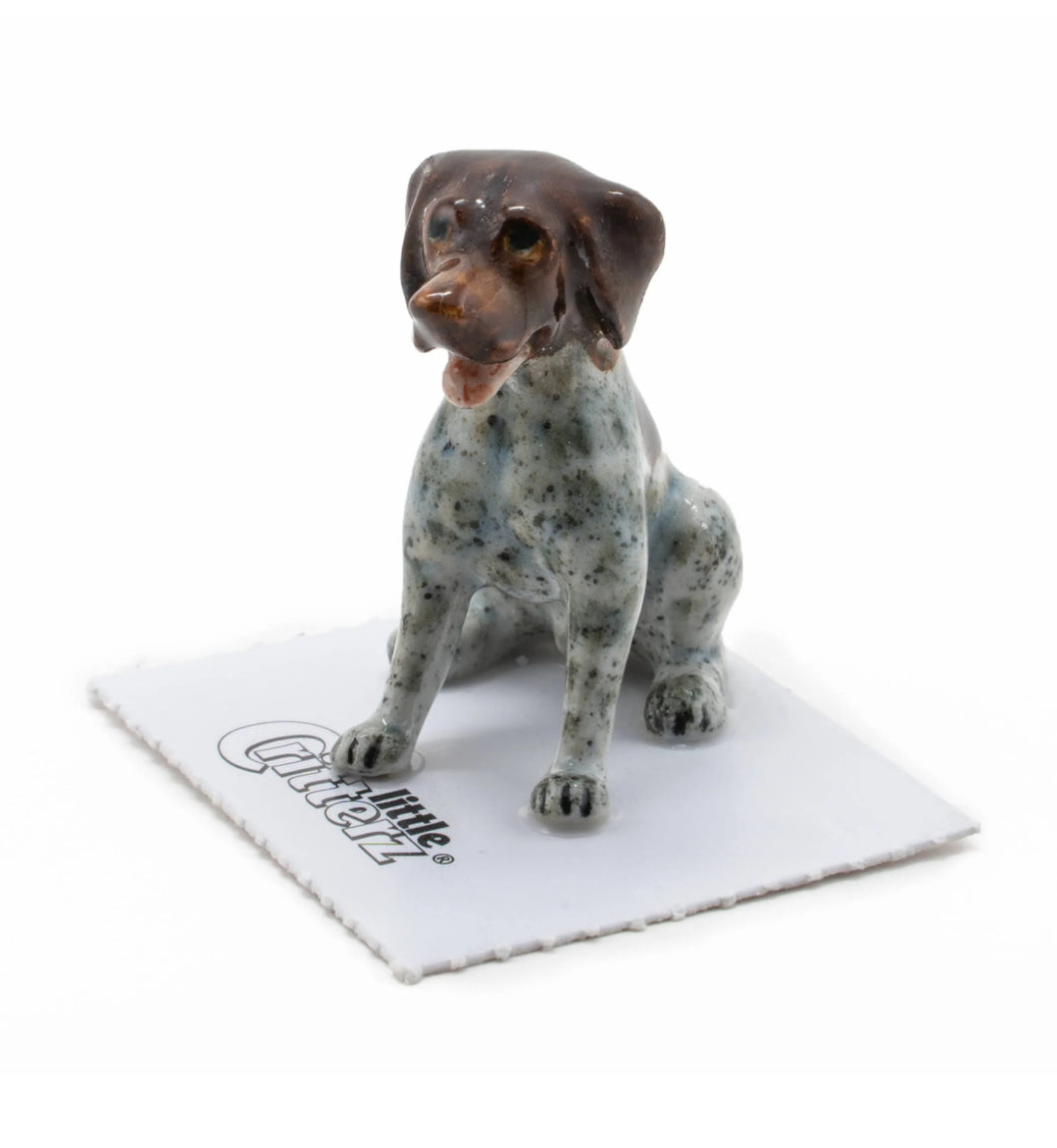 Bradley German Pointer