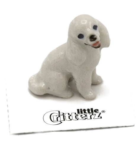 Bella Poodle