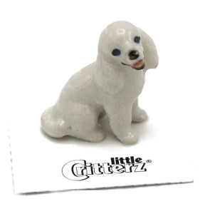 Bella Poodle
