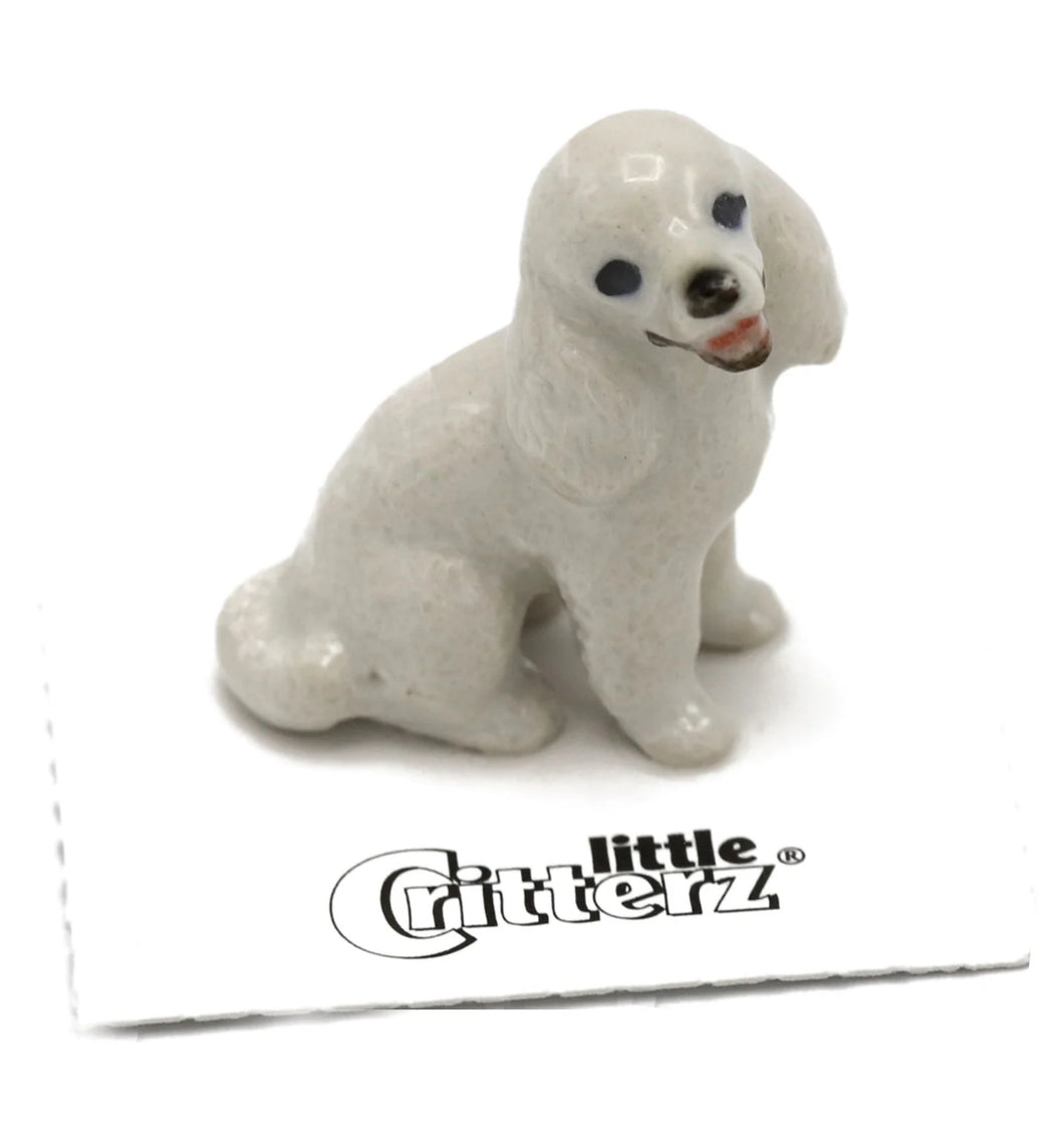 Bella Poodle