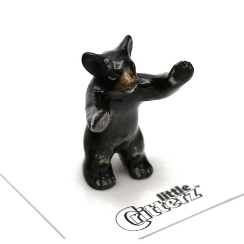 Spirit Animal Black Bear Cub