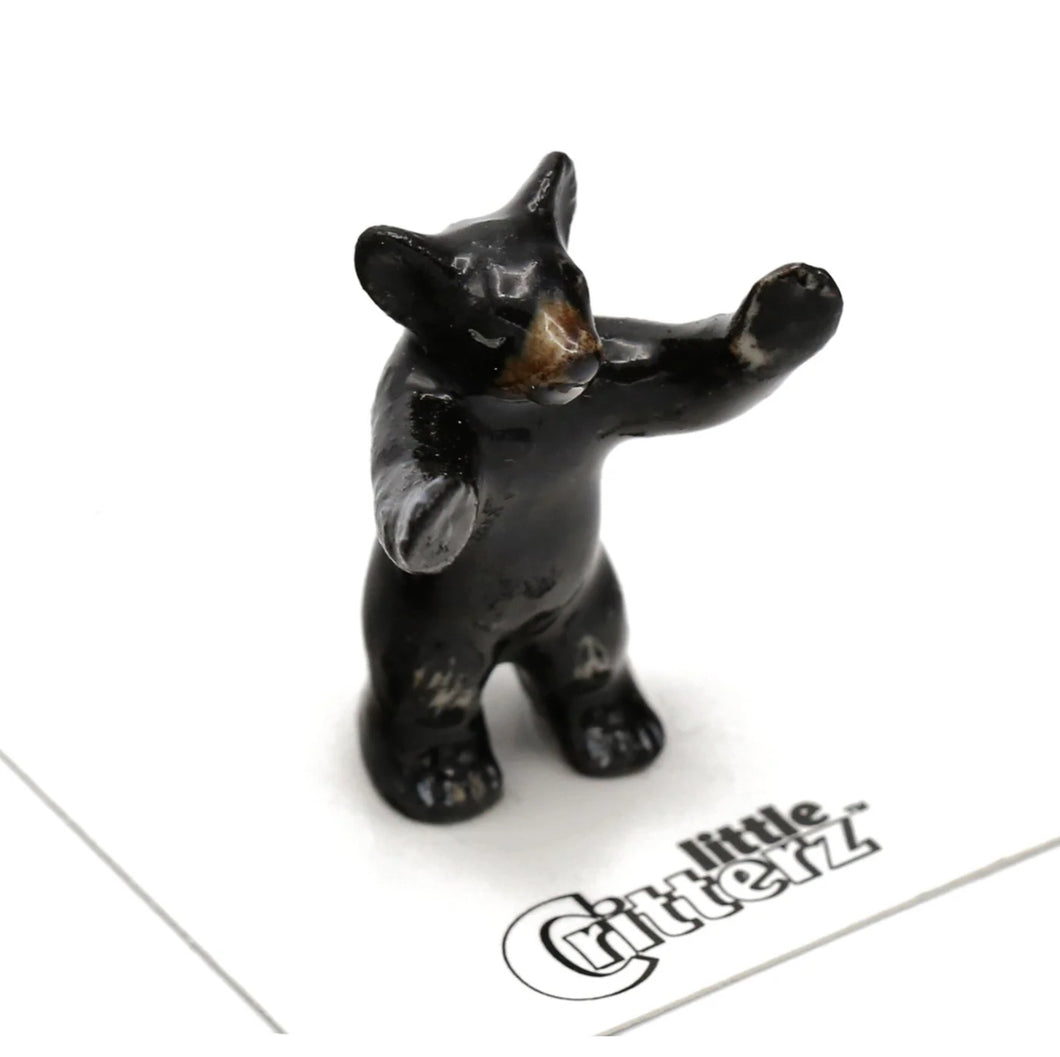 Spirit Animal Black Bear Cub