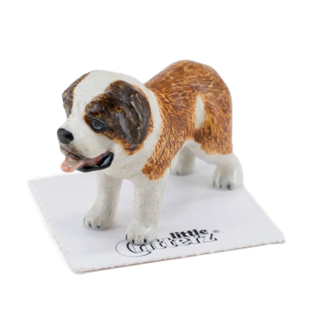 Barry Saint Bernard