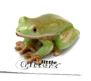 Spirit Animal Frog