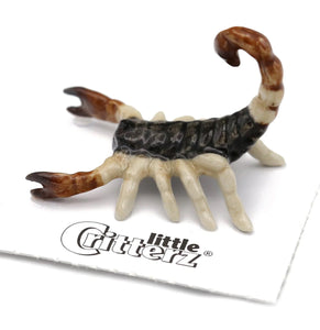 Sonora Scorpion