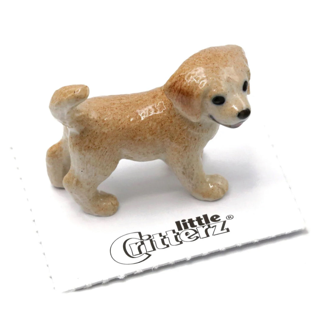 Chase Golden Retriever Puppy