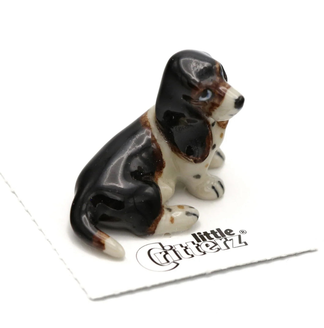 Napoleon Basset Hound