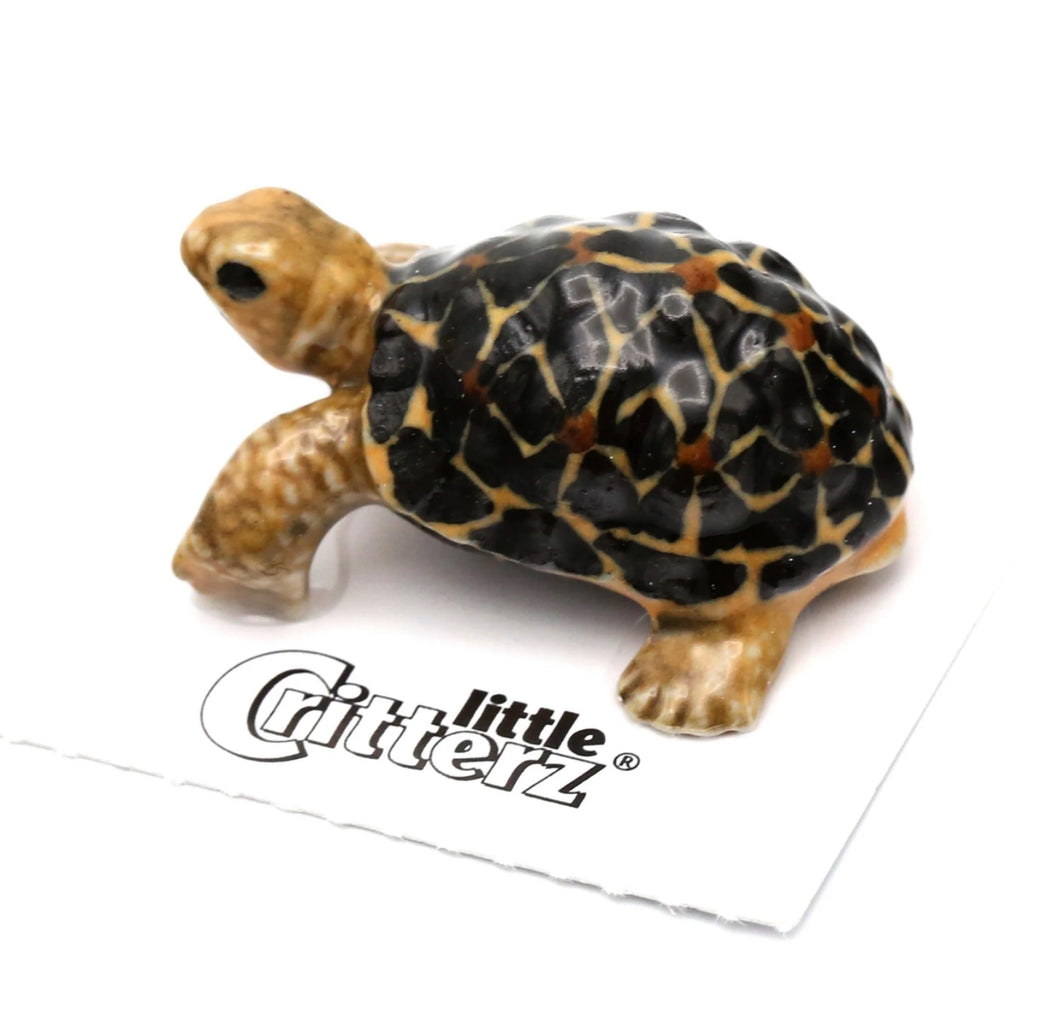 Spirit Animal Tortoise