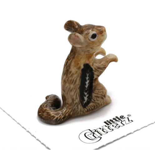 Spirit Animal Chipmunk