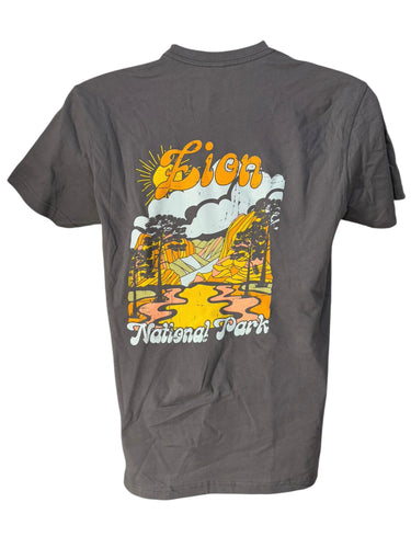 Color Desert Shirt*