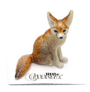 Algeria Fennec Fox