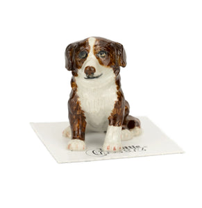 Auburn Red Australian Shepherd