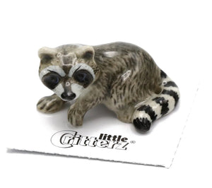 Bandit Raccoon