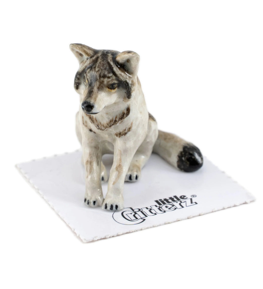 Akela Wolf, sitting