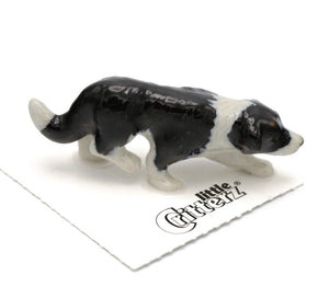 Hemp Border Collie