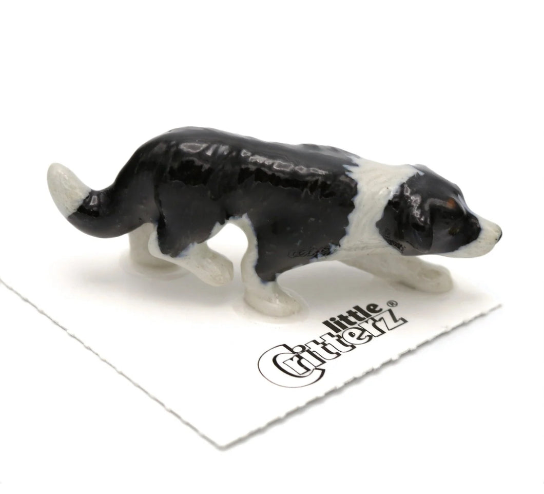 Hemp Border Collie