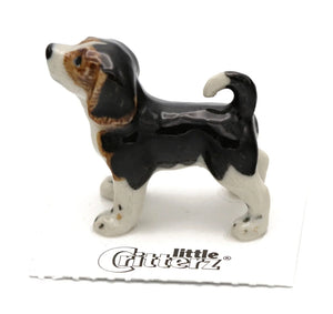 Baxter Beagle