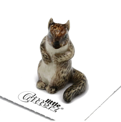 Scamper Grey Squirrel