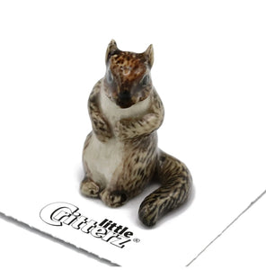 Scamper Grey Squirrel