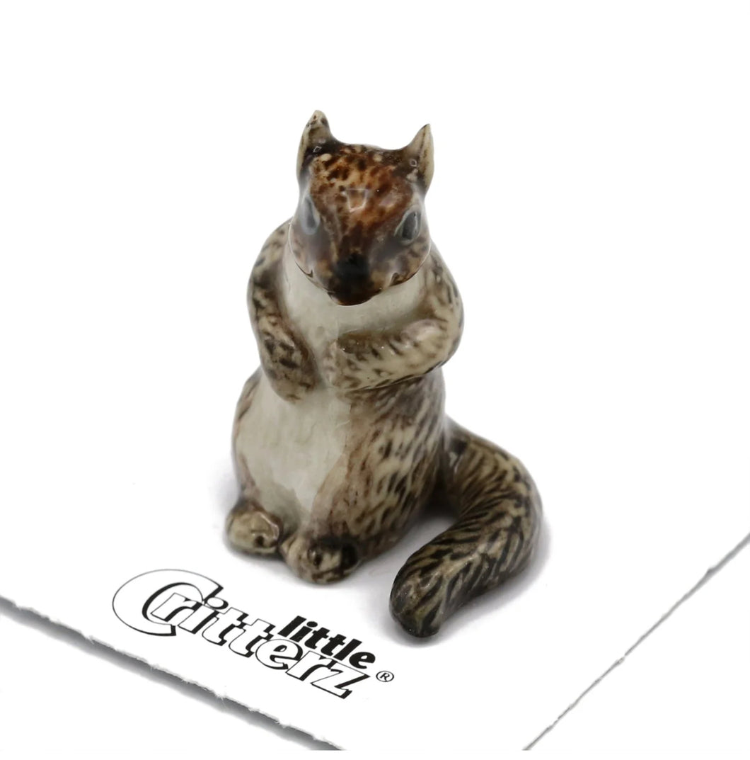Scamper Grey Squirrel