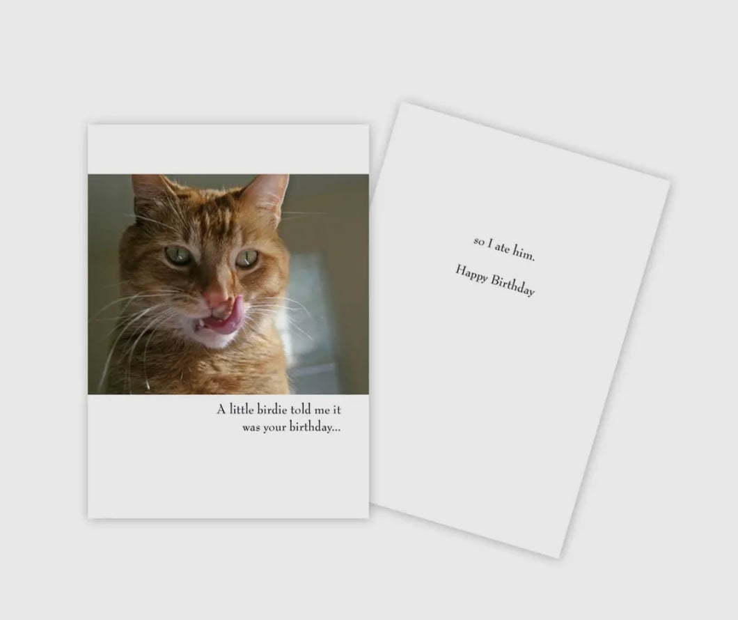 Little Birdie Birthday Card