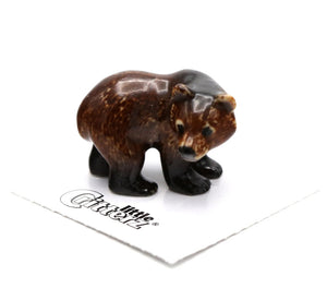 Spirit Animal Grizzly Bear