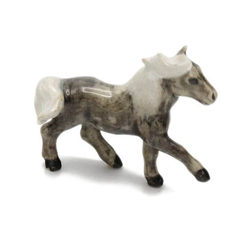 Fabio Hill Pony