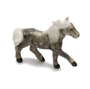 Fabio Hill Pony