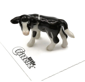 Pauline Holstein Calf